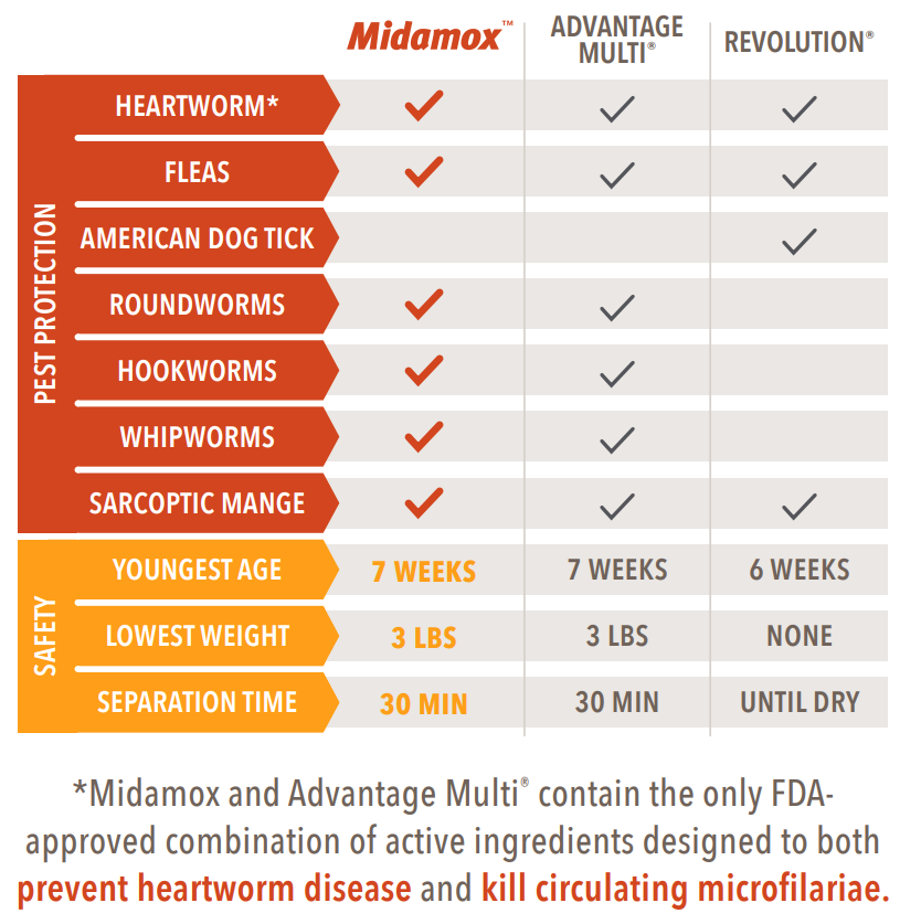 Midamox for Dogs