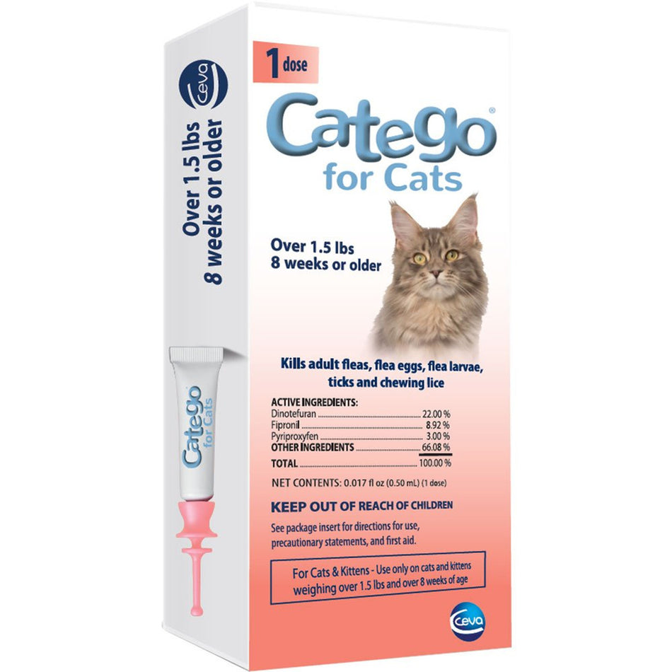 Catego for Cats
