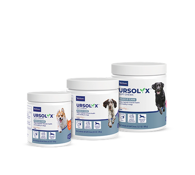 Ursolyx Soft Chews For Dogs