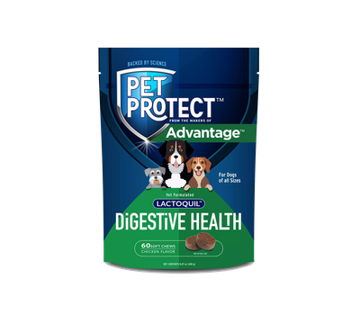 Pet Protect Lactoquil Digestive Health for Dogs