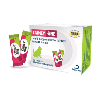 Catney One for Cats