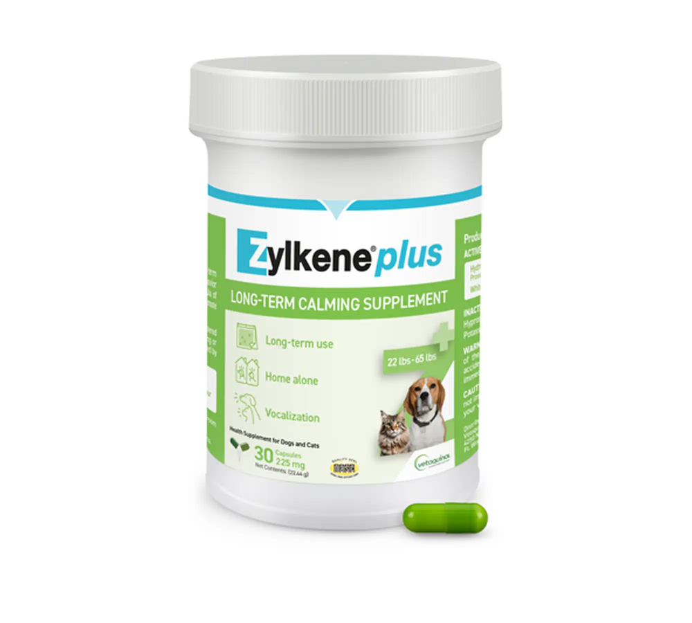 Zylkene Plus Capsules