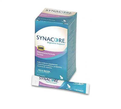 Synacore Digestive Support Maintenance Formula