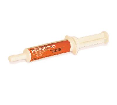 Full Bucket Equine Probiotic Paste