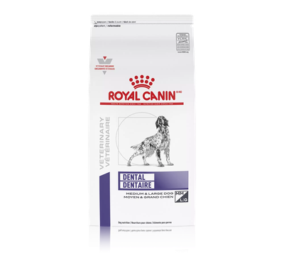 Royal Canin Dental Medium and Large Dog