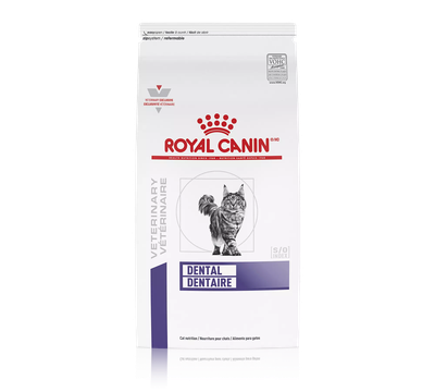 Royal Canin Feline Dental Dry Cat FoodA