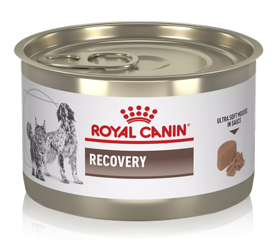 Royal Canin Recovery Ultra Soft Mousse in
