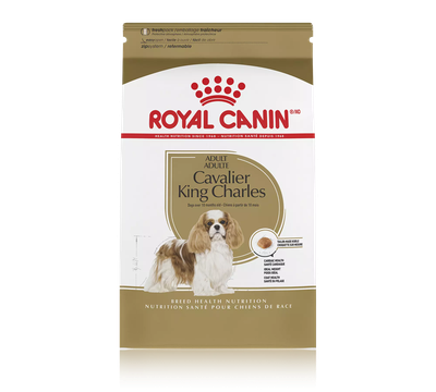 Royal Canin Cavalier King Charles Adult Dry