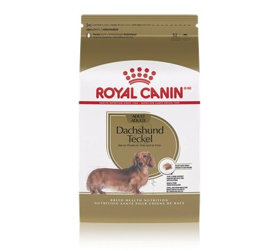 Royal Canin Dachshund Adult Dry Dog FoodA
