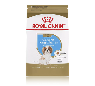 Royal Canin Cavalier King Charles Puppy Dry