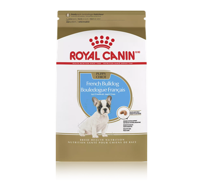 Royal Canin French Bulldog Puppy Dry Dog