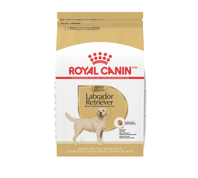 Royal Canin Labrador Retriever Adult Dry Dog