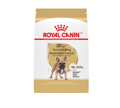 Royal Canin French Bulldog Adult Dry Dog