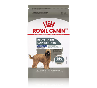 Royal Canin Large Dental Care Dry Dog