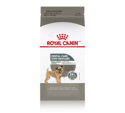 Royal Canin Small Dental Care Dry Dog