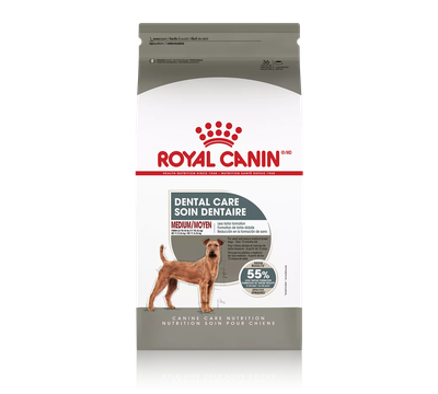 Royal Canin Medium Dental Care Dry Dog