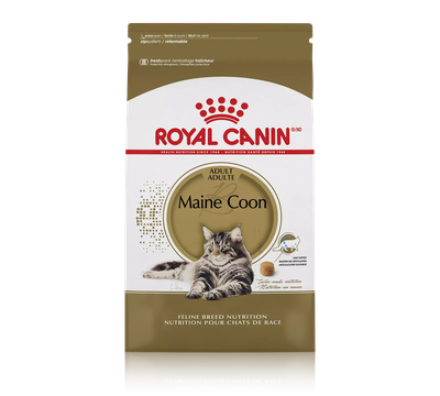 Royal Canin Maine Coon Adult Dry Cat