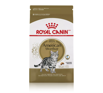 Royal Canin American Shorthair Adult Dry Cat