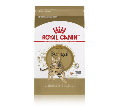 Royal Canin Bengal Adult Dry Cat FoodA