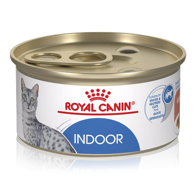 Royal Canin Indoor Adult Morsels in Gravy