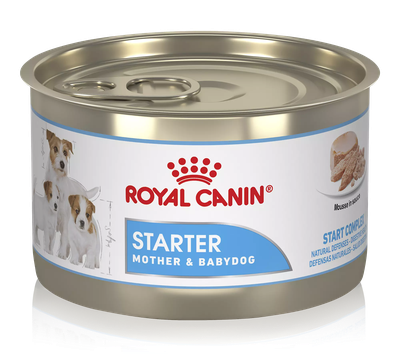 Royal Canin Starter Mother & Babydog Mousse