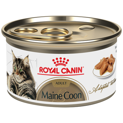 Royal Canin Maine Coon Adult Thin Slices
