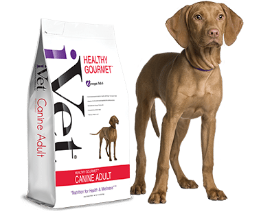 HEALTHY GOURMET™ Canine Adult