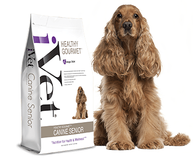 HEALTHY GOURMET™ Canine Senior