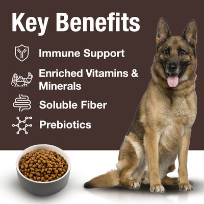 NUTRICARE™ Canine Digestive Support