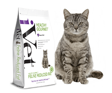 HEALTHY GOURMET™ Feline Reduced Fat