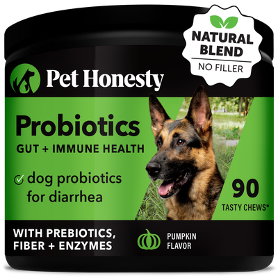 Pet Honesty Digestive Probiotics Pumpkin Soft Chews