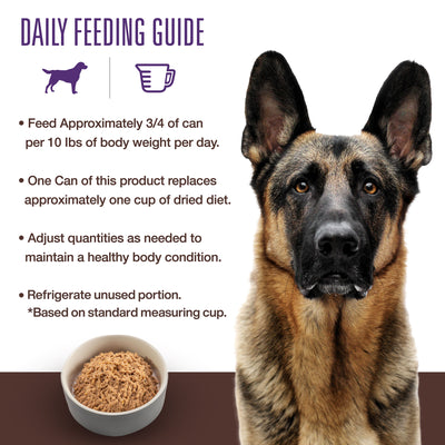 Enhanced Canine Intestinal Support: 13oz cans, 12