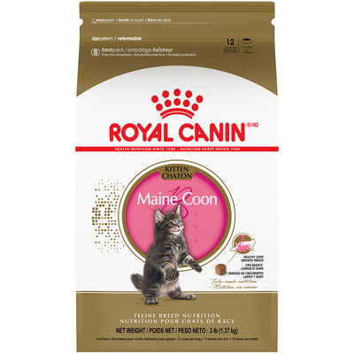 Royal Canin Maine Coon Kitten Dry Cat