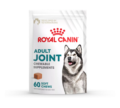 Royal Canin Joint Supplement Soft Chews for