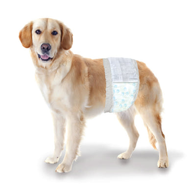 Four Paws Wee-Wee Disposable Male Dog Wraps