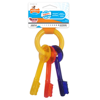 Nylabone Teething Bacon Flavor Chew Toy Keys