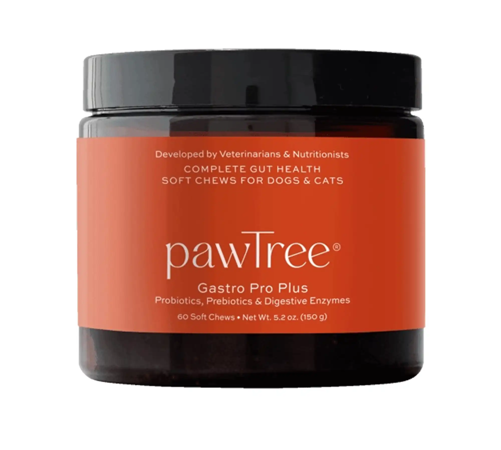 pawTree Gastro Pro Plus Chews