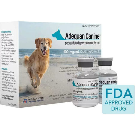 Adequan for dogs prescription medication in two vials with packaging featuring a dog by the beach