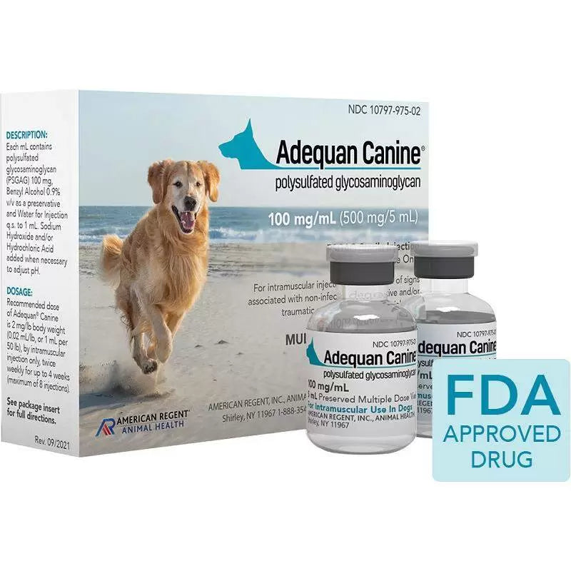 Adequan for dogs prescription medication in two vials with packaging featuring a dog by the beach