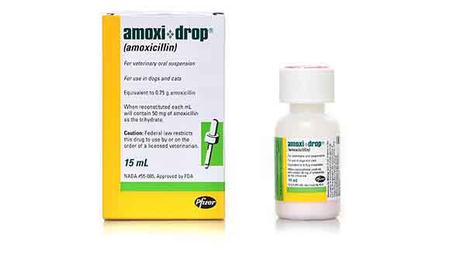 Affordable amoxicillin for pets in 15 mL bottle for dogs and cats with easy-to-use suspension