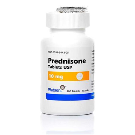 Affordable Prednisone for dogs and cats in a 10 mg bottle, prescribed for inflammation relief