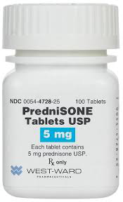 Bottle of affordable Prednisone for dogs and cats, 5 mg, containing 100 tablets