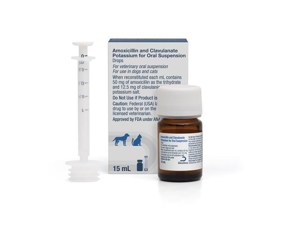 Amoxicillin Clavulanate for pets in 15 mL bottle with oral syringe for easy dosing