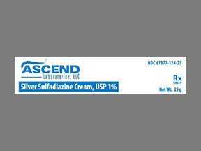 Generic RX Silver Sulfadiazine Cream, USP 1% for effective pet burn treatment cream