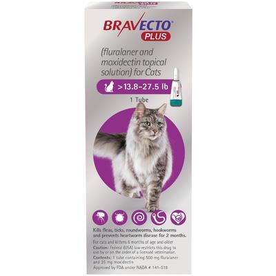 Bravecto flea treatment for cats in a single tube packaging, effective for killing fleas and ticks