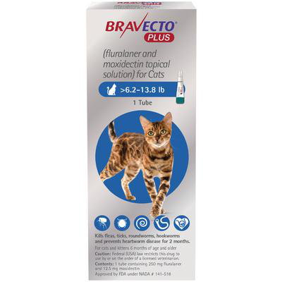 Bravecto flea treatment for cats in a 1-tube package, effective against fleas and ticks