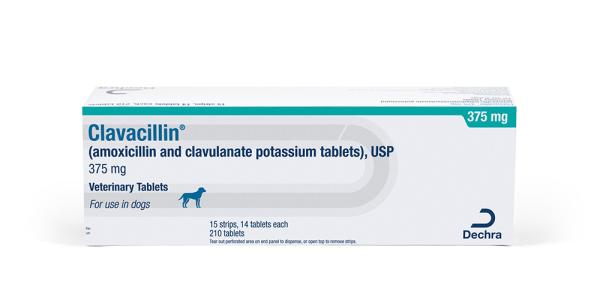 Dechra Clavacillin 375 mg Tablets for Dogs, Amoxicillin Clavulanate for pets in a 210-tablet box