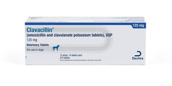 Clavacillin 125 mg prescription medication by Dechra, amoxicillin clavulanate for pets in 210 tablets packaging