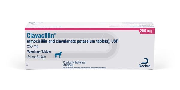 Clavacillin Amoxicillin Clavulanate for pets in 250 mg veterinary tablets by Dechra