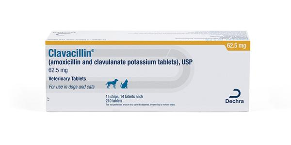 Clavamox Veterinary Tablets by Dechra containing Amoxicillin Clavulanate for pets in a 62.5 mg dosage